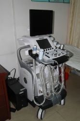 GE Vivid E9άʳ